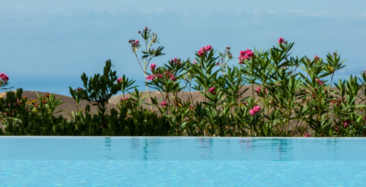 Außenpool mit Blumen und Meer